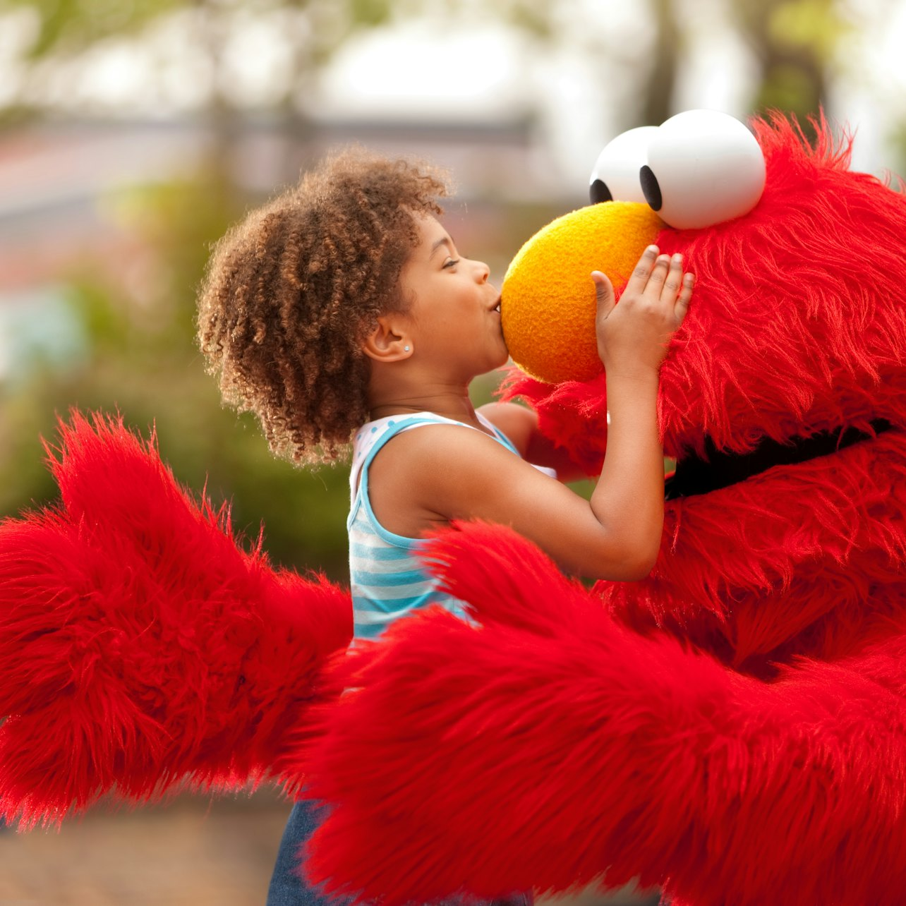 Sesame Place Fast Track Tickets - Photo 1 of 11